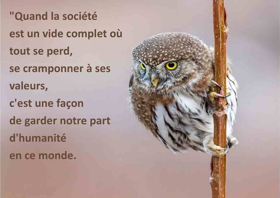 construisons un monde meilleur 05