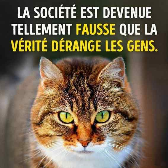 le monde d aujourd hui 15