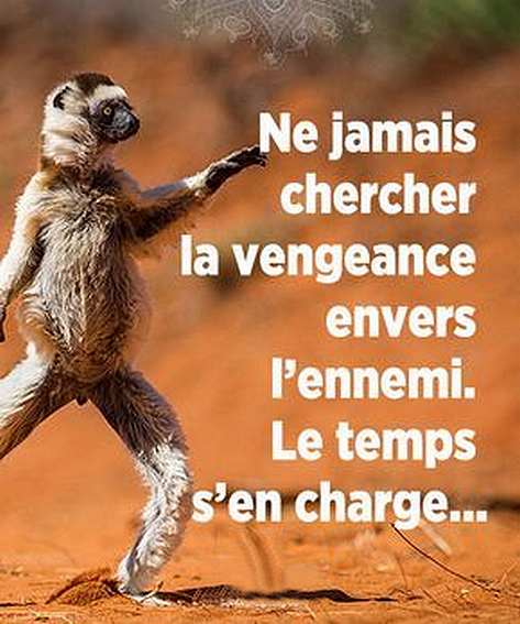 le rapport aux autres 21