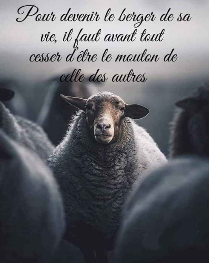 le rapport aux autres 25