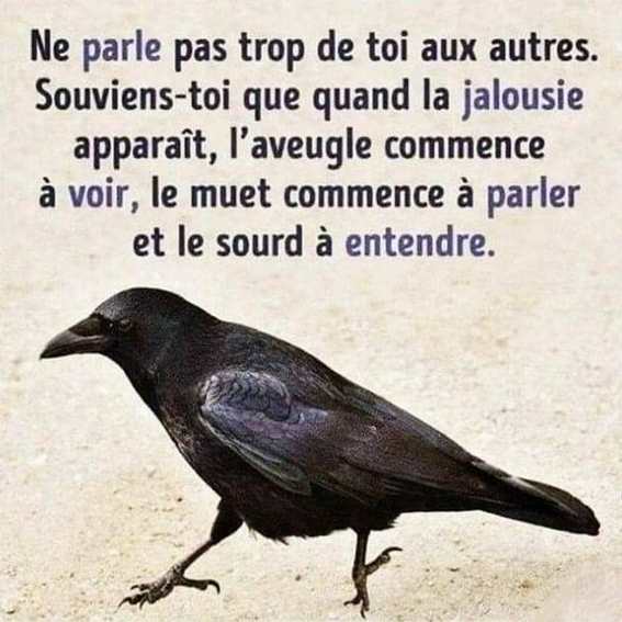 le rapport aux autres 27